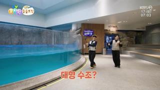 미리보기 이미지