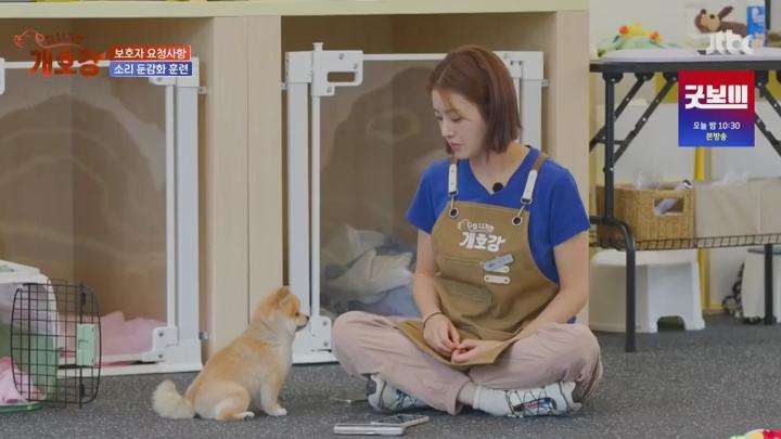 집 나가면 개호강.E04.250615.720p.KANNA 비디오 썸네일 이미지