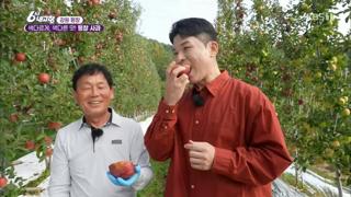 미리보기 이미지