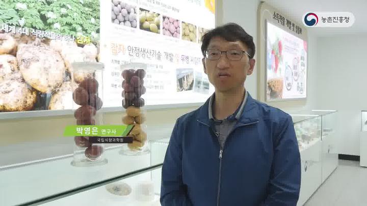 농업기술_감자 용도별 주요 품종 특성 비디오 썸네일 이미지