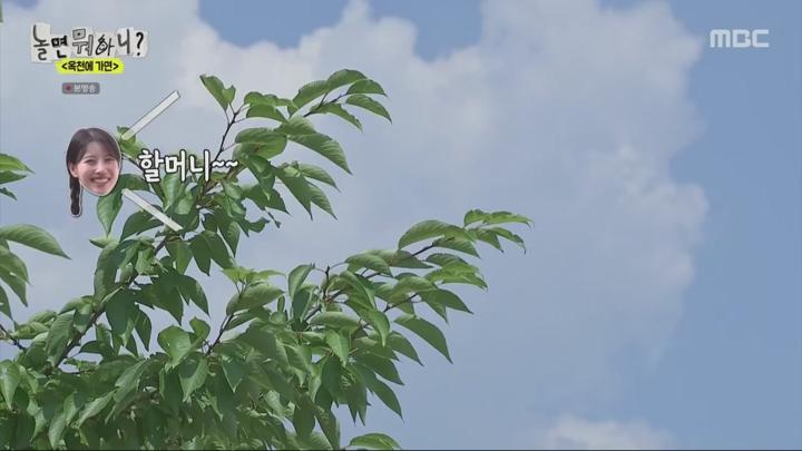 놀면 뭐하니.E241.240706.720p.WANNA 비디오 썸네일 이미지