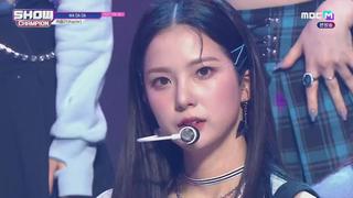 미리보기 이미지
