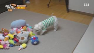 미리보기 이미지