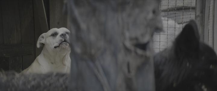 [Tigole][4K UHD] 도그맨 (뤽 베송) [2160p] -케일럽 랜드리 존스- 비디오 썸네일 이미지