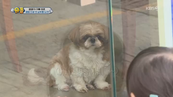 슈퍼맨이 돌아왔다.E304.191117.720p-NEXT 비디오 썸네일 이미지