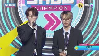 미리보기 이미지