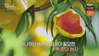 미리보기 이미지