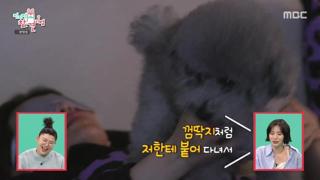 미리보기 이미지