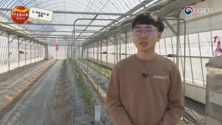 가지 재배 완전 정복 - 모기르기 #3 비디오 썸네일 이미지