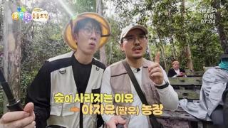 미리보기 이미지