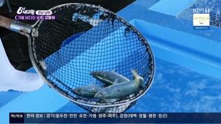 미리보기 이미지
